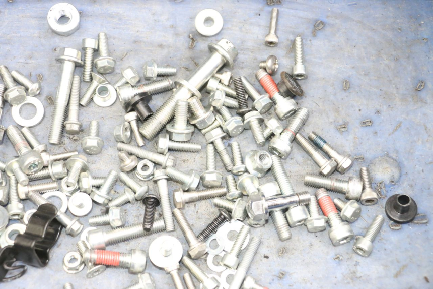 photo de SACO DE PARAFUSOS E FERRAGENS ROYAL ENFIELD SCRAM 411 (2022 - 2024) - Zoom do estado de desgaste