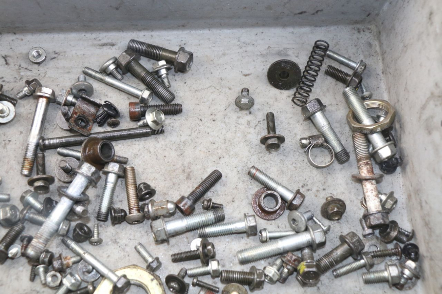 photo de SACO DE PARAFUSOS E FERRAGENS HONDA SES DYLAN 125 (2002 - 2006) - Detalhe da peça