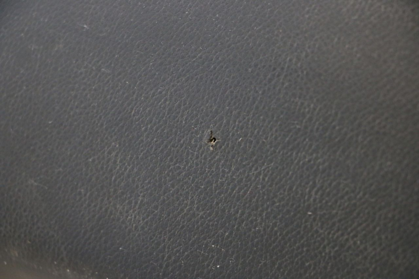 photo de SELIM PEUGEOT LUDIX ONE 50 (2004 - 2013) - Outro ângulo de visão