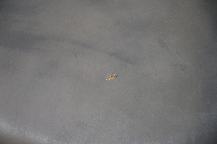 photo de SELIM PEUGEOT LUDIX 50 (2008 - 2017) - Pontos de fixação