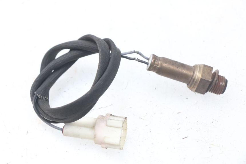 photo de SONDA LAMBDA JM MOTORS MIA 50 (2017 - 2020) - Vista principal