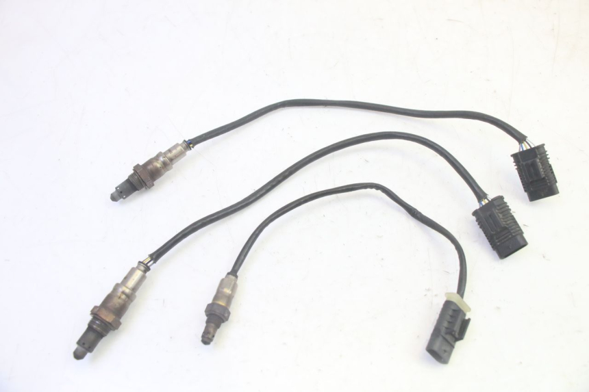 photo de SONDA LAMBDA BMW R GS 1250 (2021 - 2024) - Vista principal