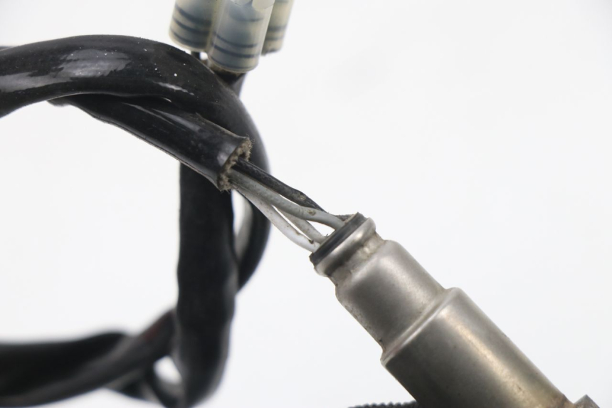 photo de SONDA LAMBDA JM MOTORS SUNNY 50 (2017 - 2020) - Zoom do estado de desgaste