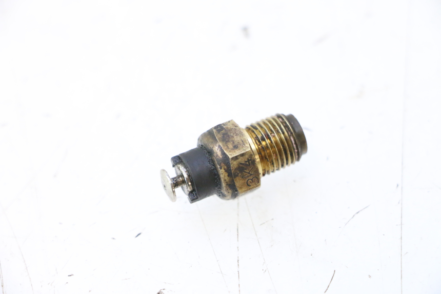 photo de SONDA DUCATI SS IE DS CARENEE 1000 (2002 - 2006) - Vista principal