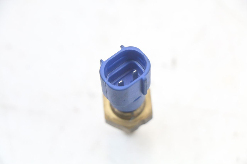 photo de SONDA DE TEMPERATURA DE ÁGUA HUSQVARNA SVARTPILEN 401 (2018 - 2023) - Outro ângulo de visão
