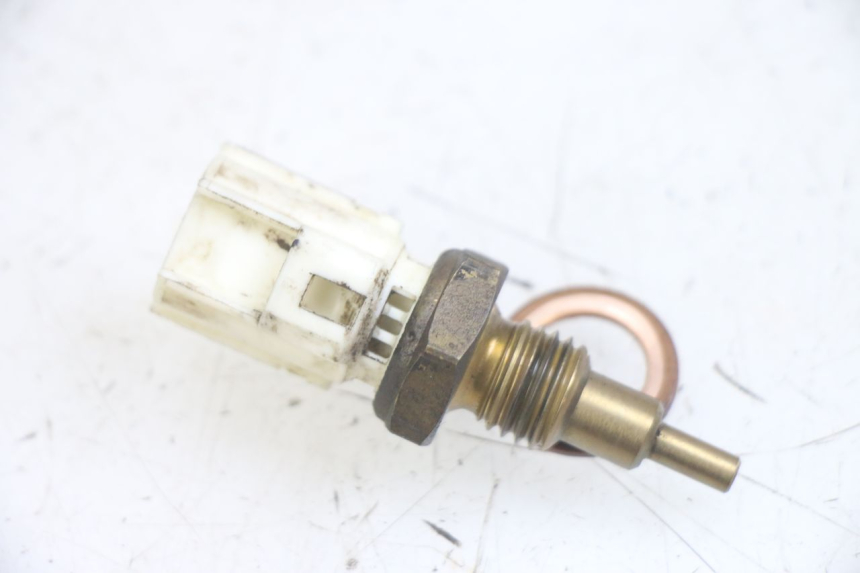 photo de SONDA DE TEMPERATURA DE ÁGUA YAMAHA NEOS NEO'S 4T 50 (2008 - 2016) - Vista principal
