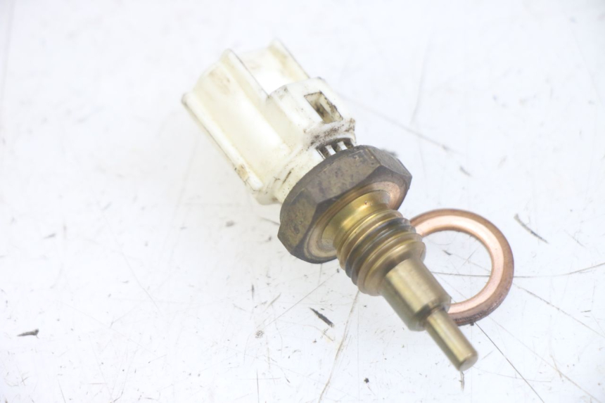photo de SONDA DE TEMPERATURA DE ÁGUA YAMAHA NEOS NEO'S 4T 50 (2008 - 2016) - Detalhe da peça