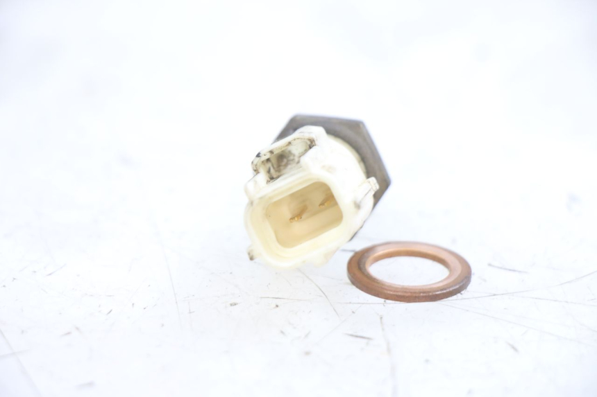photo de SONDA DE TEMPERATURA DE ÁGUA YAMAHA NEOS NEO'S 4T 50 (2008 - 2016) - Zoom do estado de desgaste