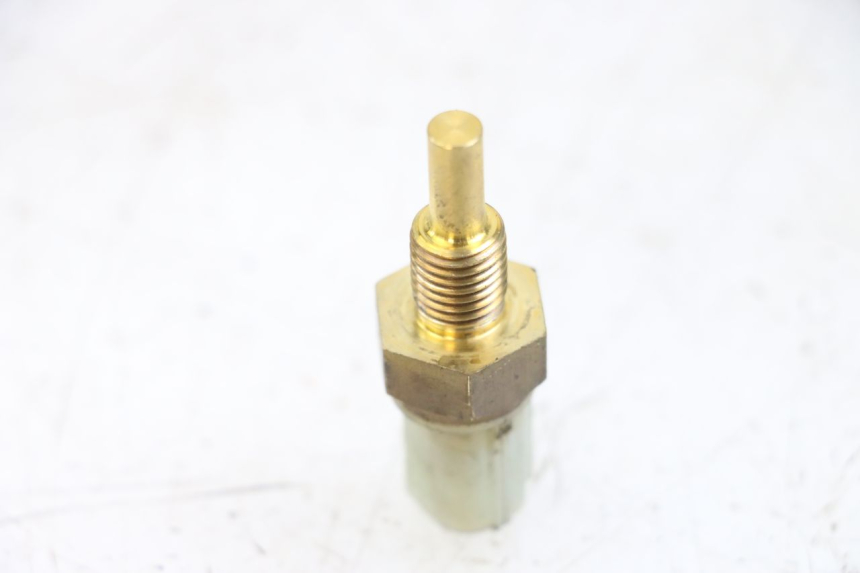 photo de SONDA DE TEMPERATURA DE ÁGUA ASTOR ORCAL 125 (2015 - 2017) - Detalhe da peça