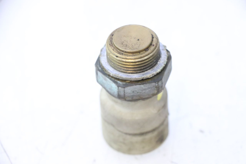 photo de SONDA DE TEMPERATURA DA ÁGUA MZ RT 125 (2000 - 2008) - Detalhe da peça