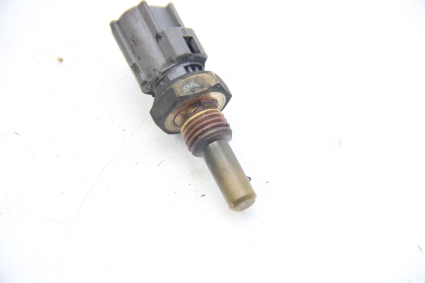 photo de SONDA DE TEMPERATURA DE ÁGUA SUZUKI SIXTEEN 125 (2008 - 2010) - Detalhe da peça