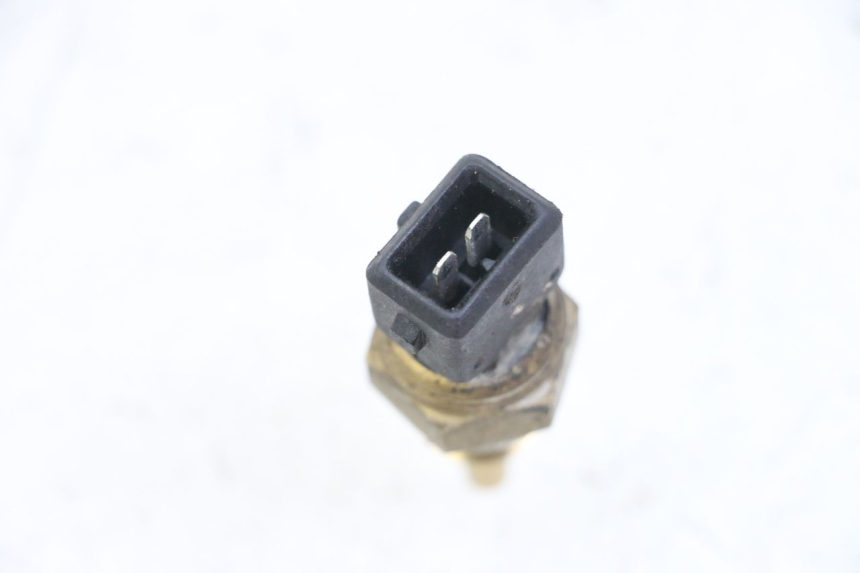 photo de SONDA DE TEMPERATURA DE ÁGUA VENT DERAPAGE 50 (2018 - 2023) - Detalhe da peça