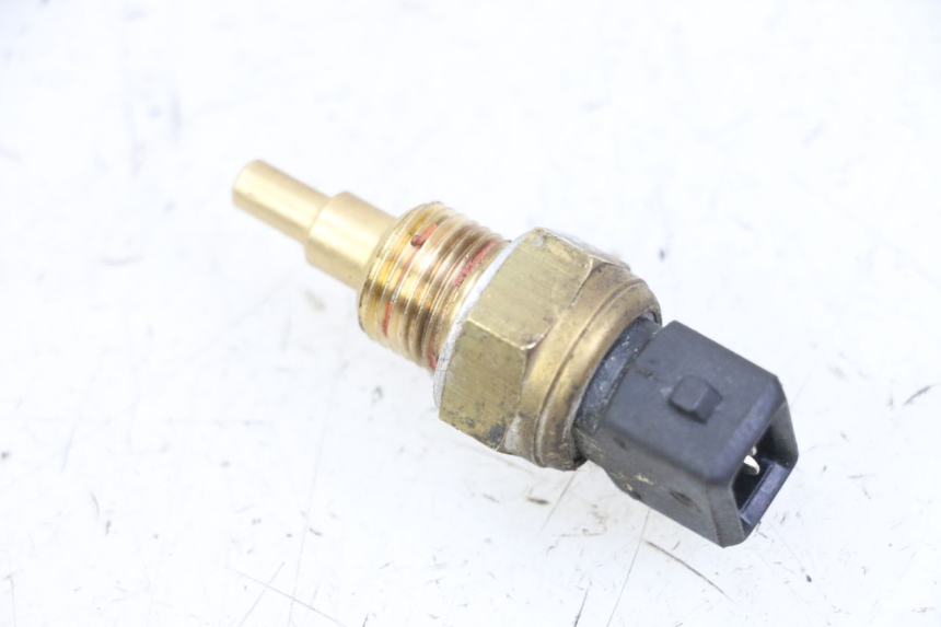 photo de SONDA DE TEMPERATURA DE ÁGUA VENT DERAPAGE 50 (2018 - 2023) - Zoom do estado de desgaste