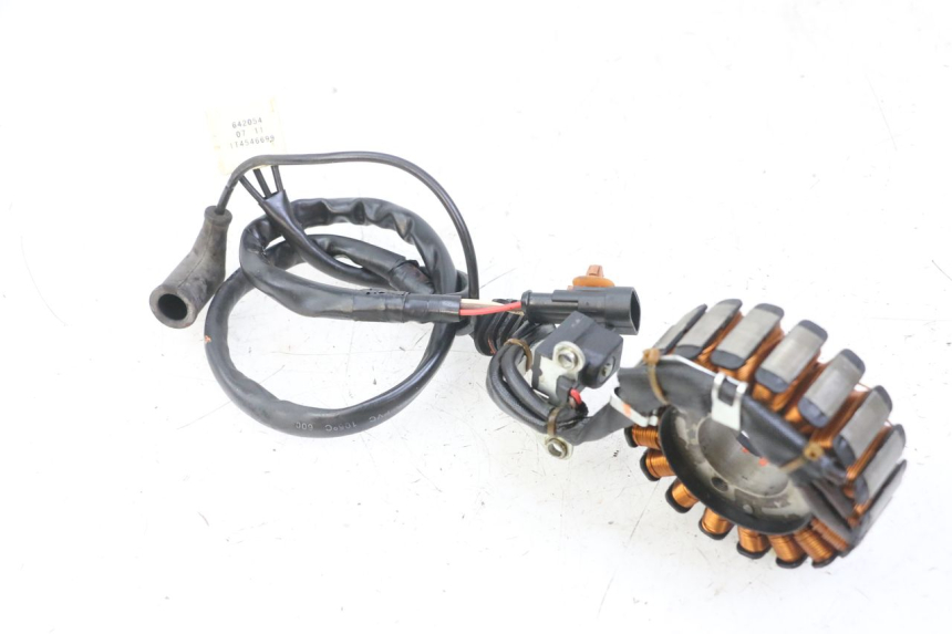 photo de ESTATOR PIAGGIO MP3 LT 300 (2010 - 2016) - Vista geral