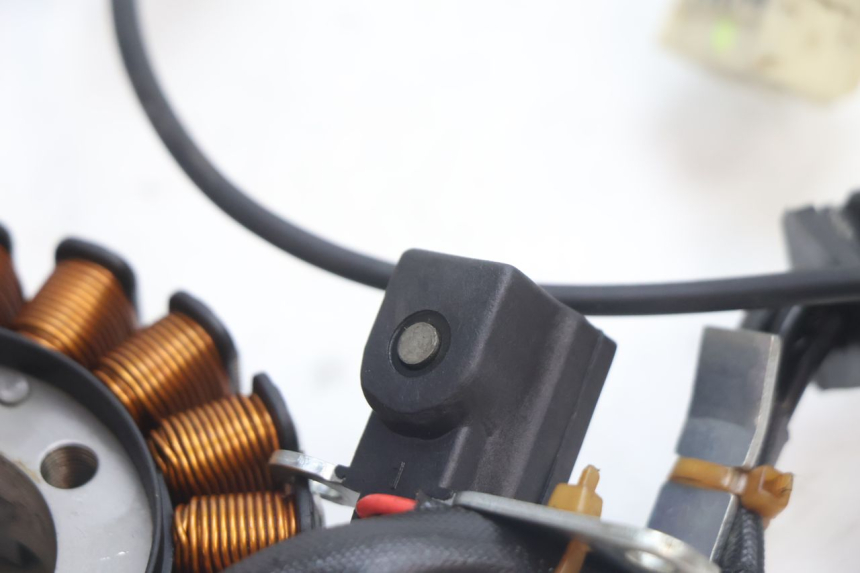 photo de ESTATOR PIAGGIO MP3 LT 300 (2010 - 2016) - Zoom do estado de desgaste