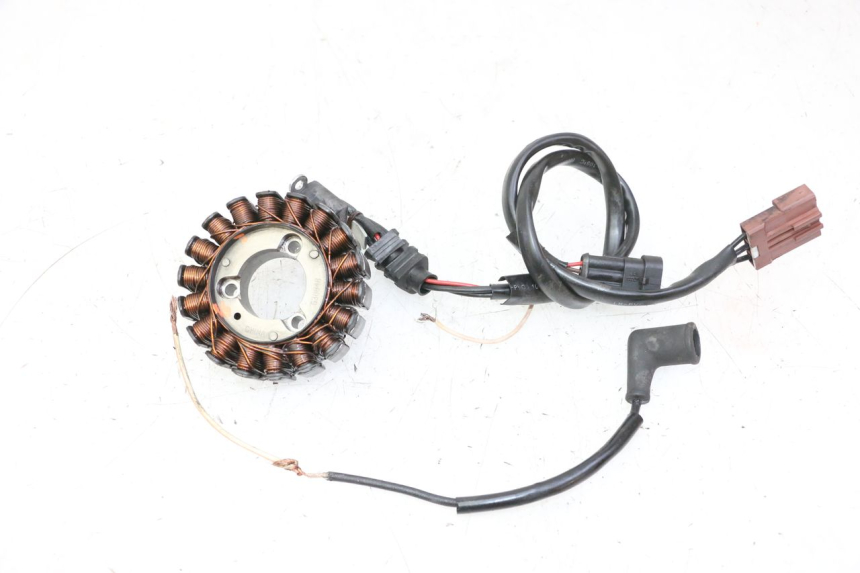 photo de ESTATOR PIAGGIO MP3 RL 250 (2006 - 2010) - Vista principal