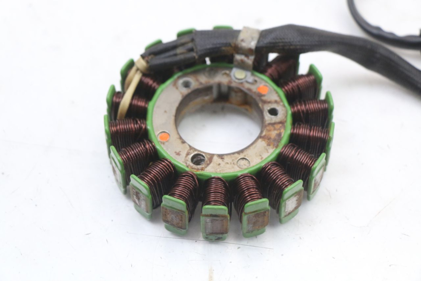 photo de ESTATOR REGAL RAPTOR RAXTER 2 125 (2007 - 2015) - Zoom do estado de desgaste
