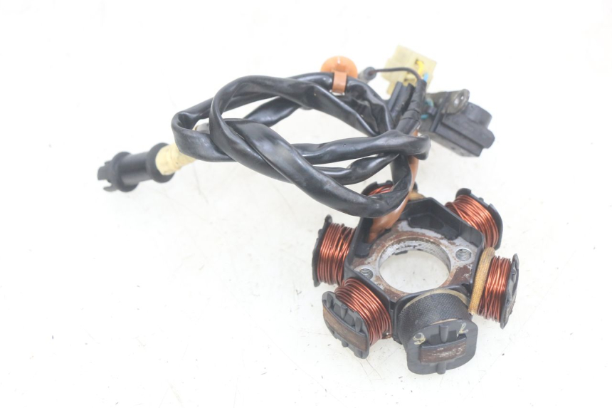 photo de ESTATOR PEUGEOT SPEEDFIGHT LC 50 (1996 - 2002) - Zoom do estado de desgaste