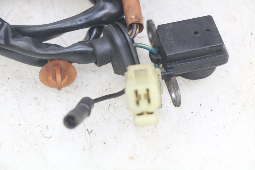 photo de ESTATOR PEUGEOT SPEEDFIGHT LC 50 (1996 - 2002) - Ampliação técnica