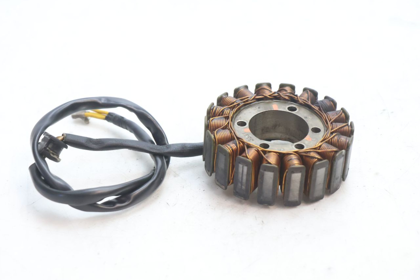 photo de ESTATOR DUCATI SS IE DS CARENEE 1000 (2002 - 2006) - Detalhe da peça