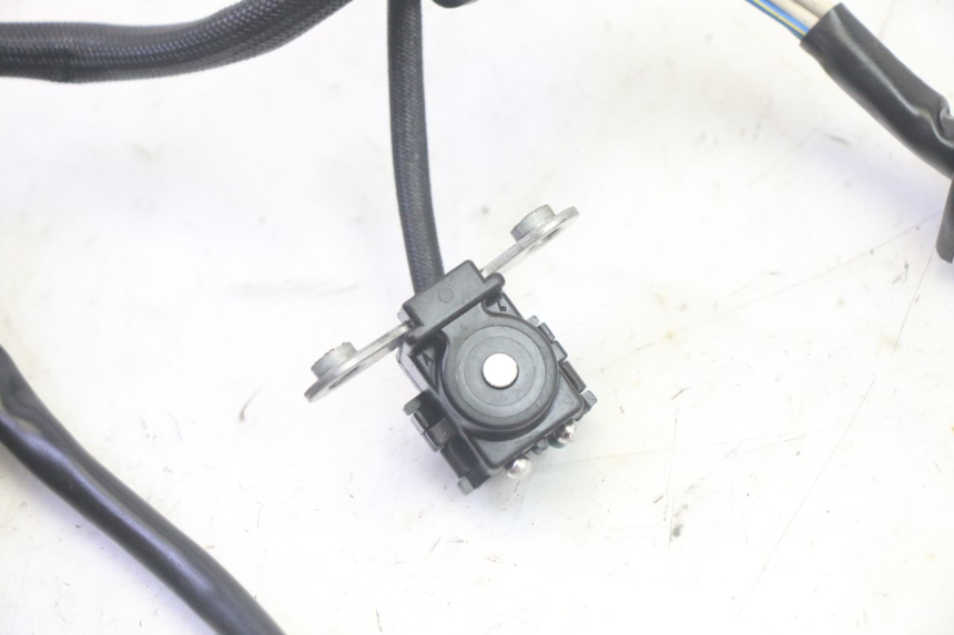 photo de ESTATOR YAMAHA TDM ABS 900 (2002 - 2014) - Ampliação técnica