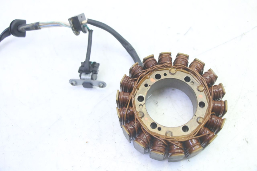photo de ESTATOR YAMAHA TDM ABS 900 (2002 - 2014) - Vista geral