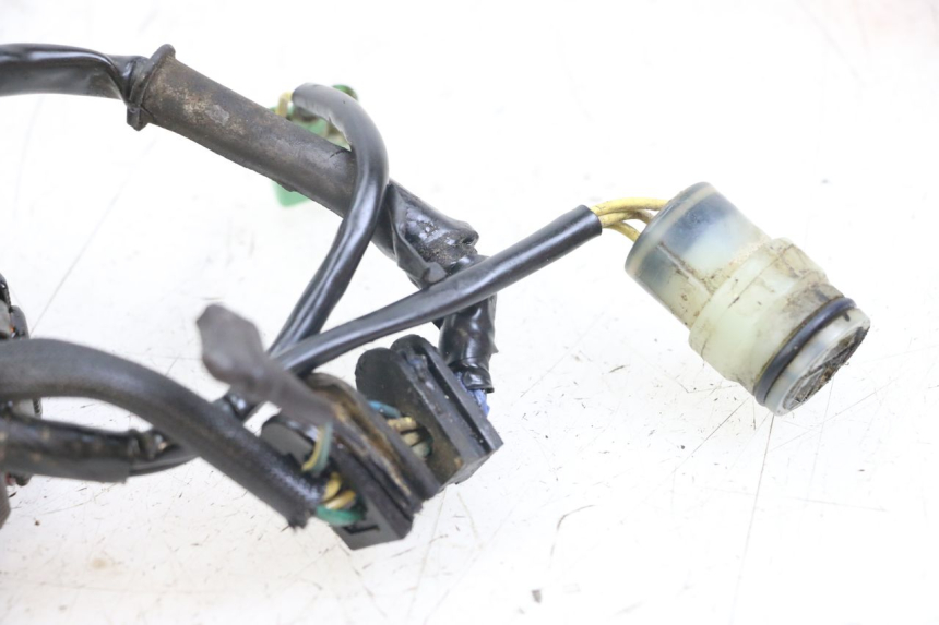 photo de ESTATOR HONDA TRX 300 (1988 - 2000) - Detalhe da peça