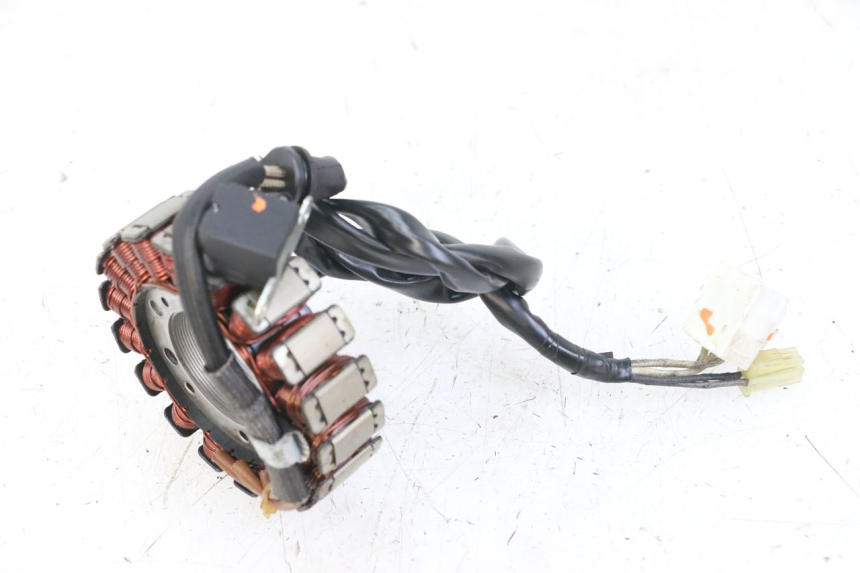 photo de ESTATOR YAMAHA FZS FAZER 600 (2001 - 2003) - Detalhe da peça