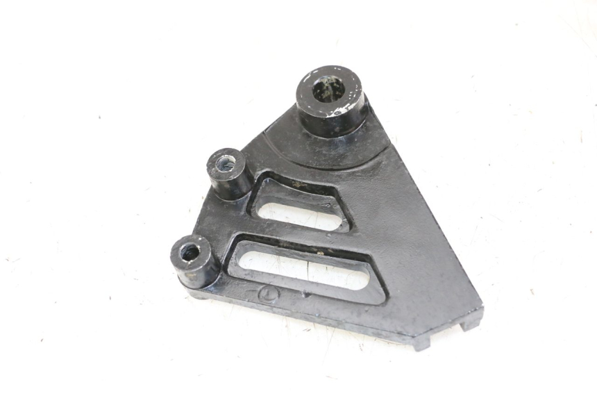 photo de SUPORTE DE PINÇA DE FREIO TRASEIRO REGAL RAPTOR RAXTER 2 125 (2007 - 2015) - Detalhe da peça