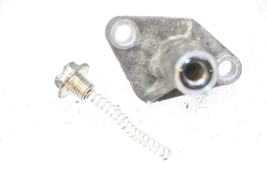photo de TENSOR DE CORRENTE DE DISTRIBUIÇÃO PIAGGIO MP3 LT 300 (2010 - 2016) - Outro ângulo de visão