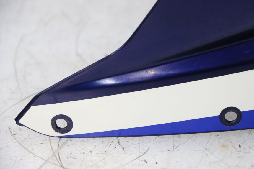 photo de CABEÇA DE GARFO SUZUKI GSXR GSX-R 1000 (2003 - 2004) - Zoom de qualidade