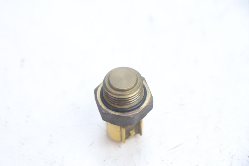 photo de TERMOCONTACTO SUZUKI BURGMAN EXECUTIVE ABS 650 (2006 - 2012) - Outro ângulo de visão