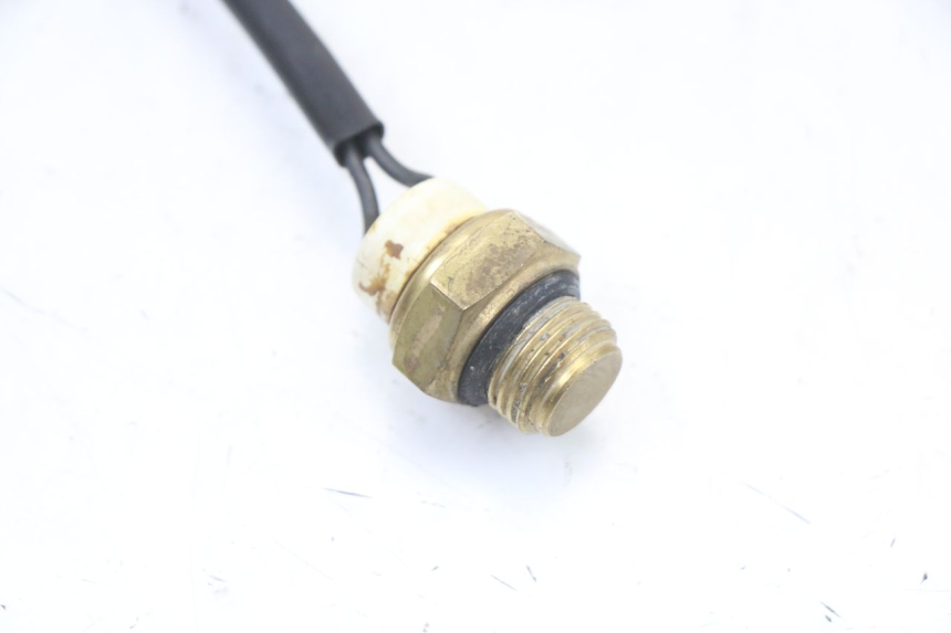 photo de TERMOCONTACTO REGAL RAPTOR RAXTER 2 125 (2007 - 2015) - Detalhe da peça