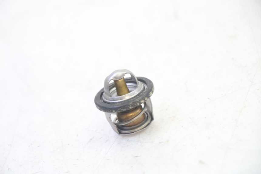 photo de TERMOSTATO SUZUKI BURGMAN 125 (2007 - 2014) - Vista principal