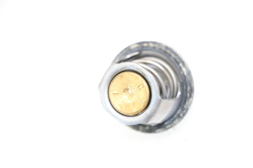 photo de TERMOSTATO SUZUKI BURGMAN 125 (2007 - 2014) - Detalhe da peça