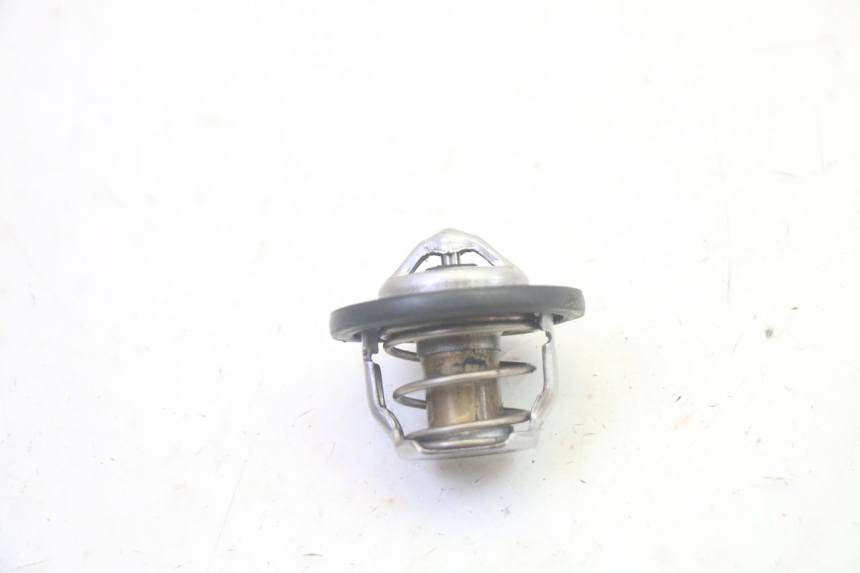 photo de TERMOSTATO SUZUKI BURGMAN EXECUTIVE ABS 650 (2006 - 2012) - Zoom do estado de desgaste