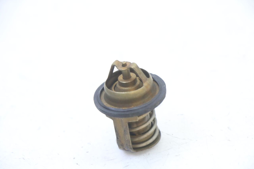 photo de TERMOSTATO PEUGEOT ELYSEO 125 (1999 - 2004) - Vista principal