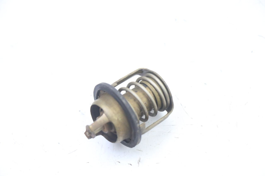 photo de TERMOSTATO PEUGEOT ELYSEO 125 (1999 - 2004) - Detalhe da peça