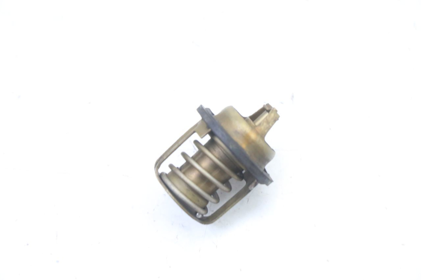 photo de TERMOSTATO PEUGEOT ELYSEO 125 (1999 - 2004) - Zoom do estado de desgaste