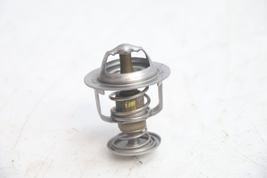 photo de TERMOSTATO HONDA FJS SILVER WING SILVERWING 400 (2005 - 2008) - Zoom do estado de desgaste
