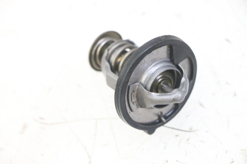 photo de TERMOSTATO HONDA FORZA ABS 300 (2013 - 2017) - Detalhe da peça