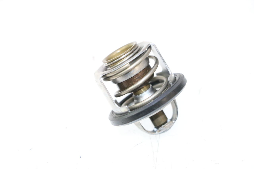 photo de TERMOSTATO PIAGGIO MP3 LT 300 (2010 - 2016) - Detalhe da peça