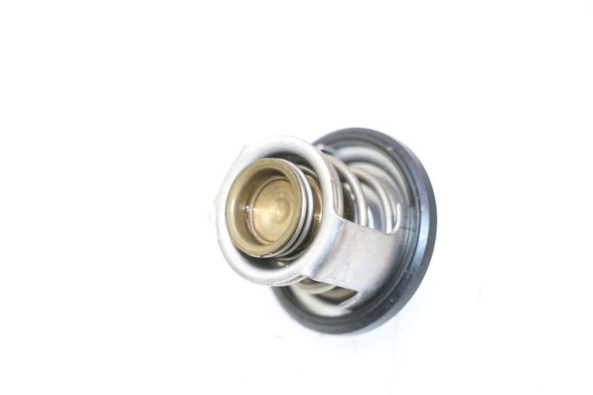 photo de TERMOSTATO PIAGGIO MP3 LT 300 (2010 - 2016) - Zoom do estado de desgaste