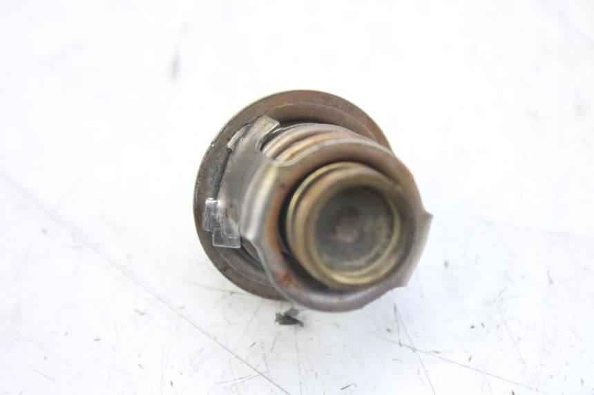 photo de TERMOSTATO PIAGGIO MP3 RL 250 (2006 - 2010) - Detalhe da peça
