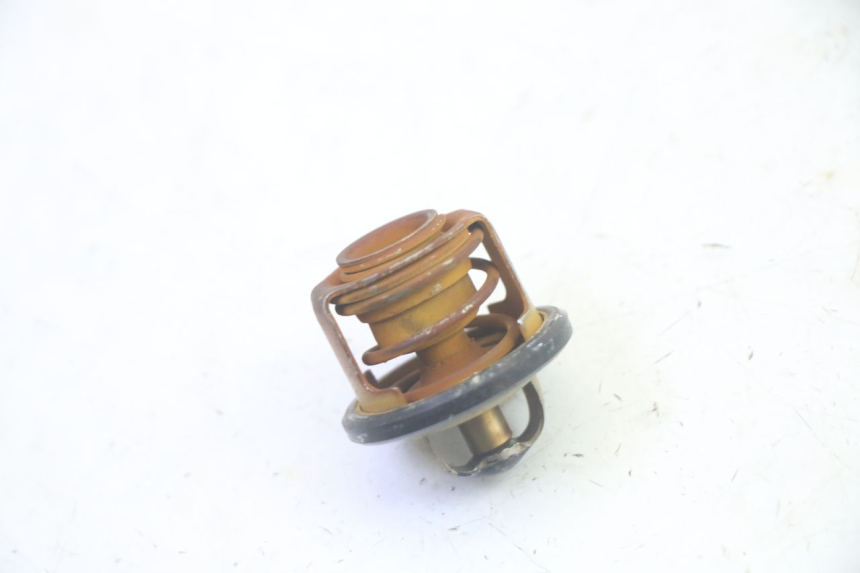 photo de TERMOSTATO PIAGGIO MP3 RL 250 (2006 - 2010) - Detalhe da peça