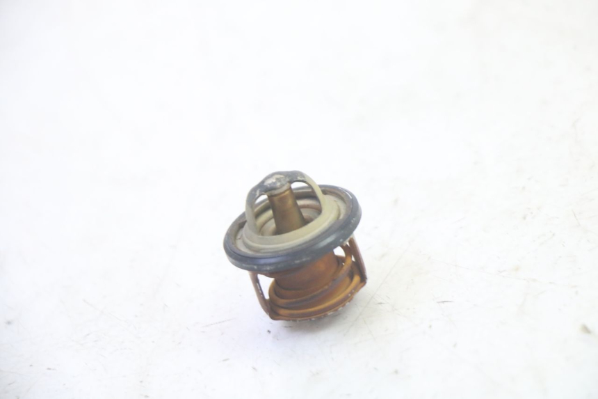 photo de TERMOSTATO PIAGGIO MP3 RL 250 (2006 - 2010) - Zoom do estado de desgaste