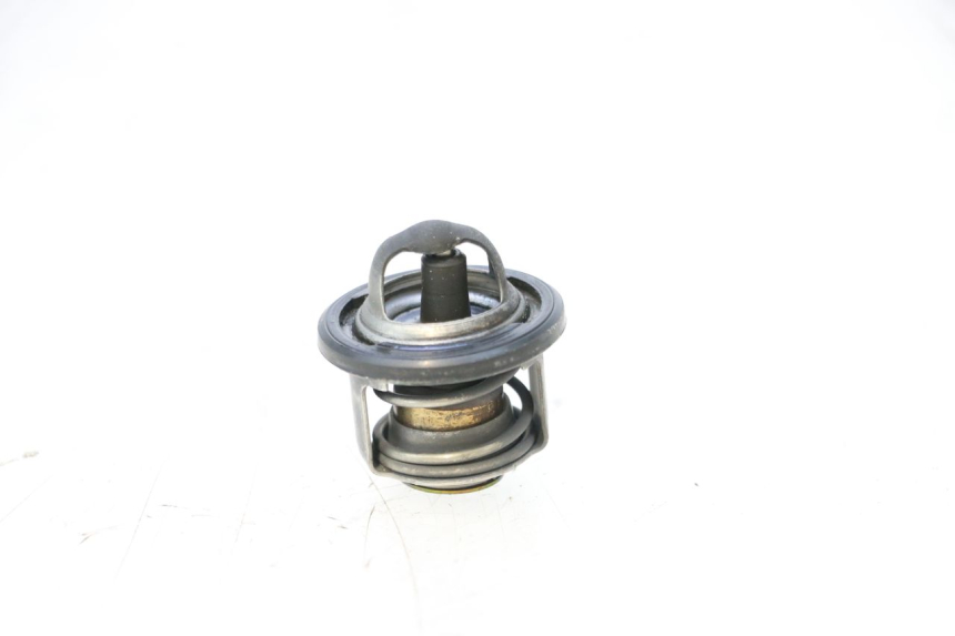 photo de TERMOSTATO PIAGGIO MP3 125 (2006 - 2014) - Vista principal