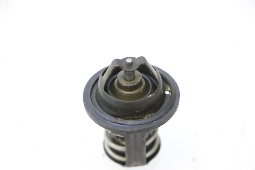 photo de TERMOSTATO PEUGEOT SATELIS 125 (2006 - 2009) - Zoom do estado de desgaste