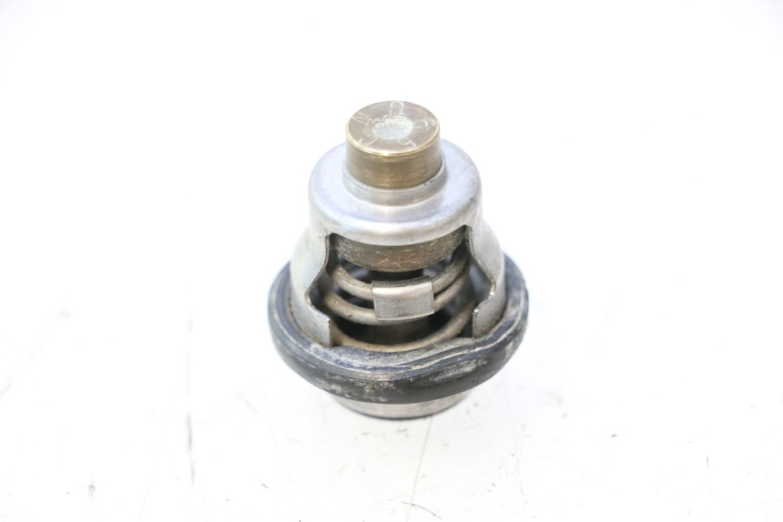 photo de TERMOSTATO SUZUKI SMX SUPERMOTARD 50 (1996 - 2001) - Zoom do estado de desgaste