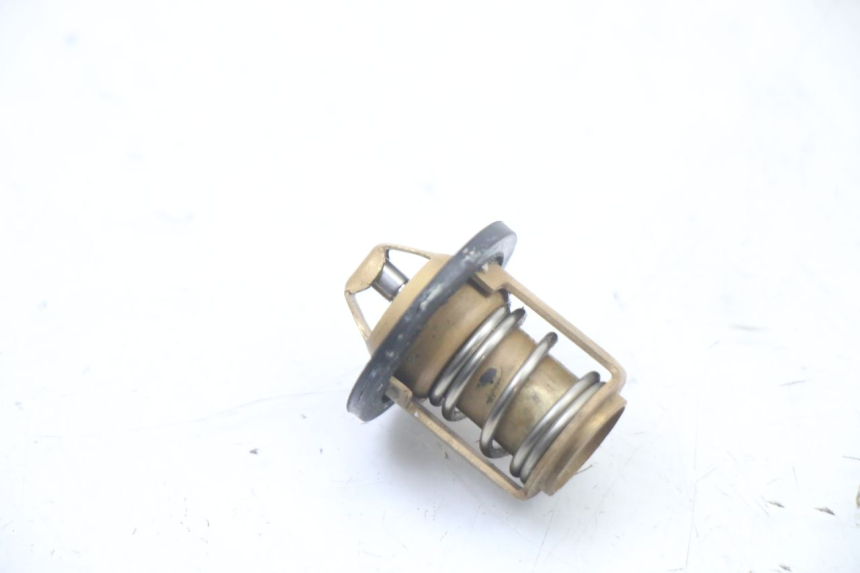 photo de TERMOSTATO PEUGEOT SPEEDFIGHT 3 LC 2T 50 (2009 - 2015) - Vista principal